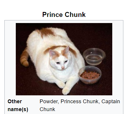 Cats of Wikipedia